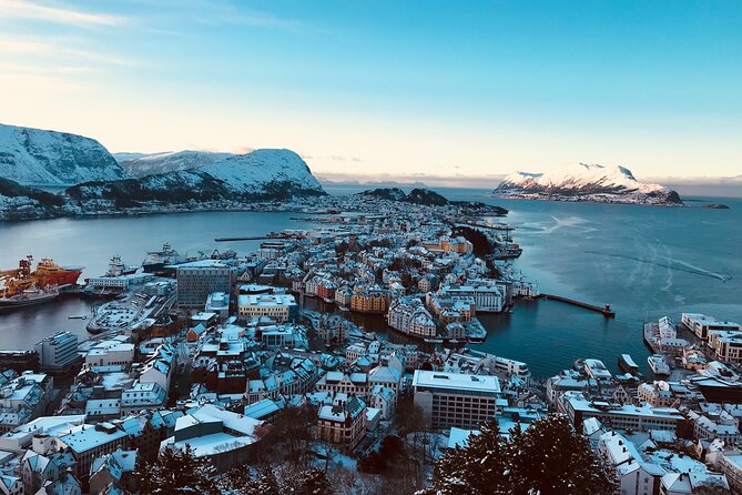 Shore Excursions Ålesund: Highlights Ålesund & Islands - Why this Ålesund islands highlights tour fits cruise days