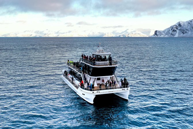 Silent Whale Watching by Hybrid-Electric Boat from Tromsø - The silent, hybrid-electric boat, and why it matters