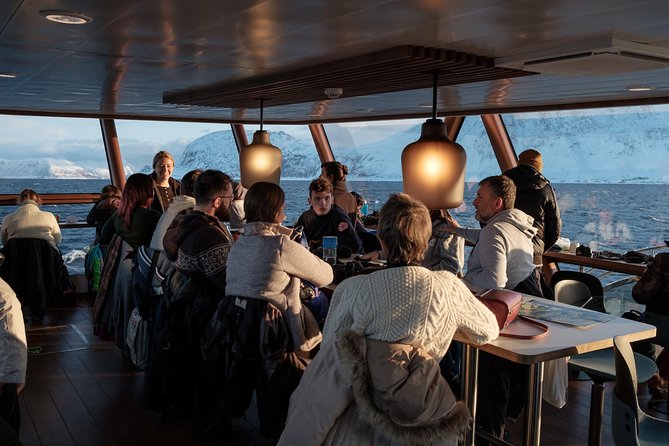 Silent Whale Watching by Hybrid-Electric Boat from Tromsø - Price and value: how to judge $214.85 for whale watching