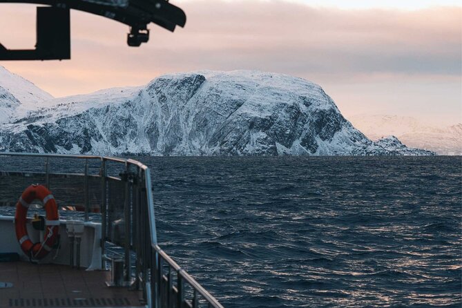 Silent Whale Watching on Hybrid-Electric Boat with Scenic Bustrip - What you might notice on board: talks, quiet comfort, and extras