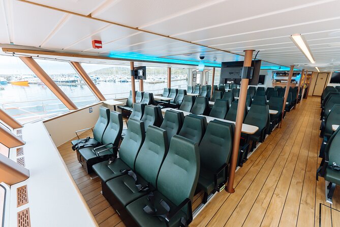 Silent Whale Watching on Hybrid-Electric Boat with Scenic Bustrip - Price and value: is $192.69 worth it?
