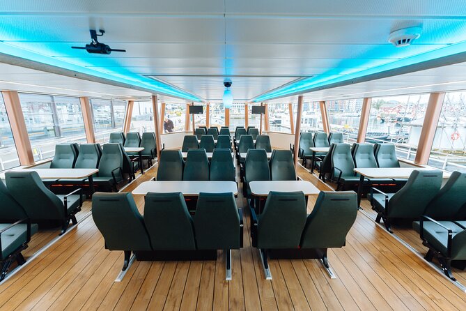 Silent Whale Watching on Hybrid-Electric Boat with Scenic Bustrip - Should you book? My straight answer