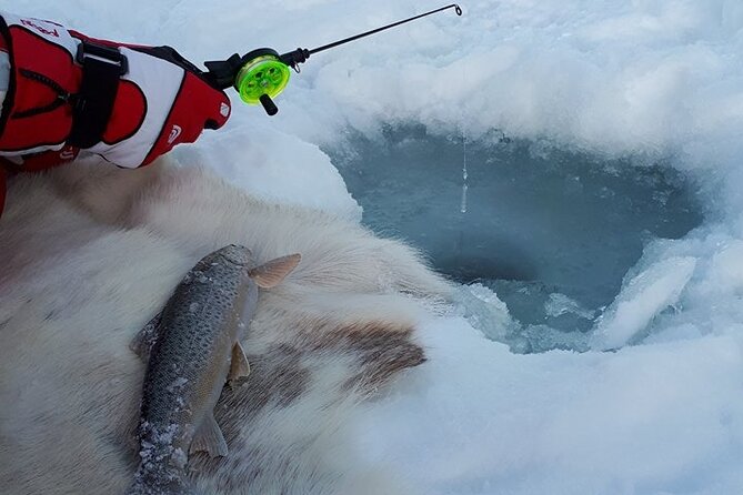 Sjursnes Arctic Ice Fishing Adventure from Tromso - On the Ice: Reindeer Hides, Wiggling Rods, and Staying Comfortable