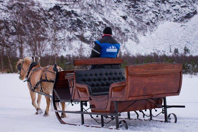 Sleigh or wagon ride in the arctic Country side - Key highlights you should know before you go