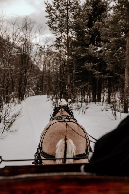 sleigh ride and dining experience - Key things to know before you go