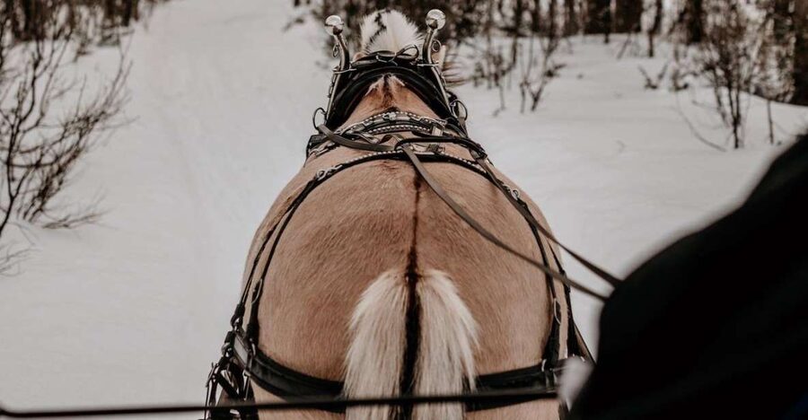 sleigh ride and dining experience - From Alta to the Farm, Without Wasting Evening Time