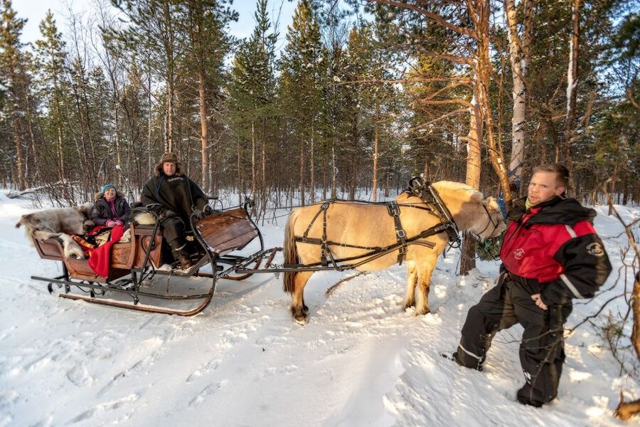 sleigh ride and dining experience - Wilderness Shelter Fire: Your 3-Course Meal in the Great Outdoors