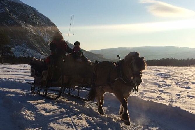 Sleigh ride Under The Northern Lights - Meeting at 8:00 pm and What Your Evening Timeline Feels Like