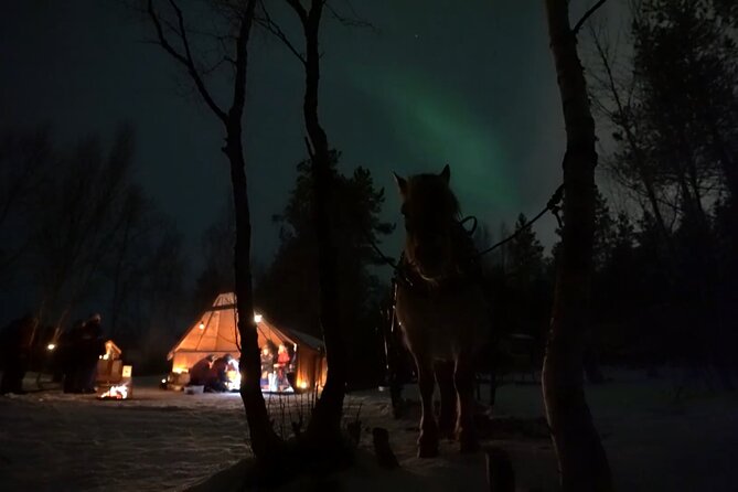 Sleigh ride Under The Northern Lights - The Cozy Meal Stop by the Fire (Reindeer Pita and Cinnamon Roll)