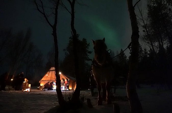 Sleigh ride Under The Northern Lights - Price and Value: What $321.96 Buys You in the Real World