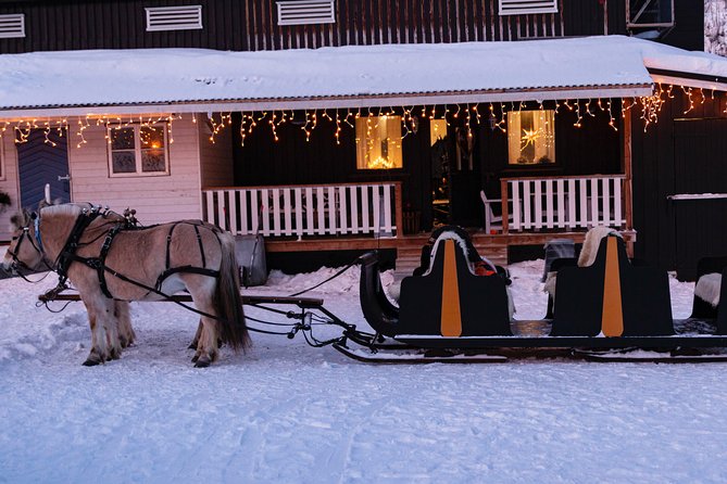 Sleigh Ride w/ snacks - Experience Arctic Farm Life - Sleigh ride and Sami lavvo snacks at Omdal Gard (Alta, Norway)