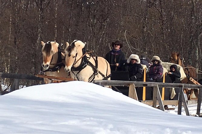 Sleigh Ride w/ snacks - Experience Arctic Farm Life - Pickup from Alta plus warm clothing, so you start comfortable