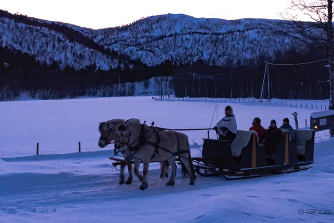 Sleigh Ride w/ snacks - Experience Arctic Farm Life - Private tour pricing: what $183.08 gets you in Alta
