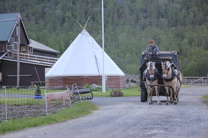 Sleigh Ride w/ snacks - Experience Arctic Farm Life - Year-round sleigh rides and seasonal gear changes