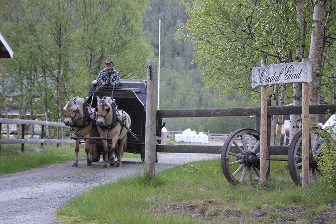 Sleigh Ride w/ snacks - Experience Arctic Farm Life - Who should book this Arctic farm experience
