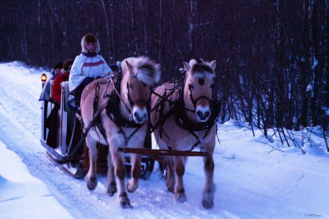 Sleigh Ride w/ Tapas Meal - Experience Arctic Farm Life - Warm Clothing, Blankets, and How to Dress for the Ride