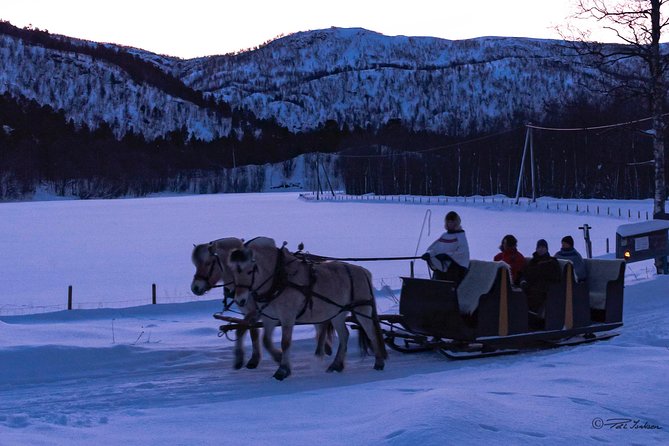 Sleigh Ride w/ Tapas Meal - Experience Arctic Farm Life - Inside the Sami Lavvo: Arctic Tapas by the Fire