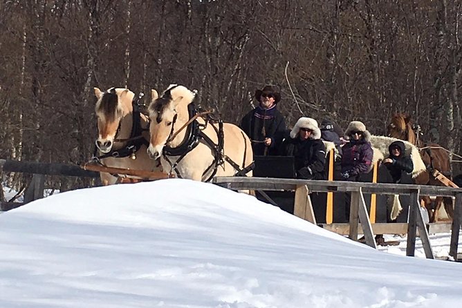 Sleigh Ride w/ Tapas Meal - Experience Arctic Farm Life - Meet the Sheep, See How the Farm Runs, Learn the Stories