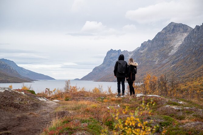 Small Group Arctic Fjords Road trip with Scenic Picnic - Why Kvaløya Feels Worth the Drive from Tromsø