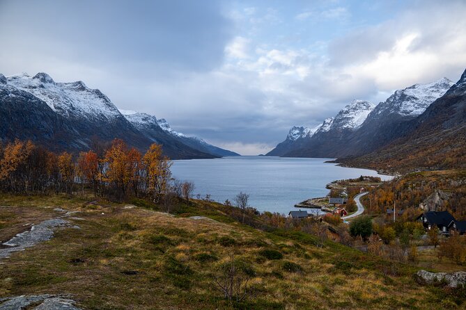 Small Group Arctic Fjords Road trip with Scenic Picnic - The Picnic Stop: Vegan, Warm, and Actually Helpful