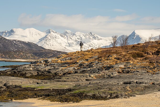 Small Group Arctic Fjords Road trip with Scenic Picnic - Getting Professional Photos Without Turning into a Photographer