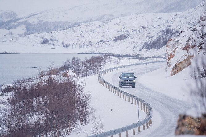 Small Group Arctic Fjords Road trip with Scenic Picnic - Small Group Size and Tromsø Pickup: Easy Start, Easy End