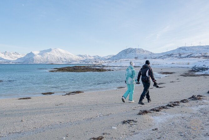 Small Group Arctic Fjords Road trip with Scenic Picnic - Price and Value: Why $161.84 Feels Fair for This Format