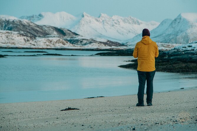 Small Group Arctic Fjords Road trip with Scenic Picnic - The Half-Day Schedule That Keeps You Seeing More