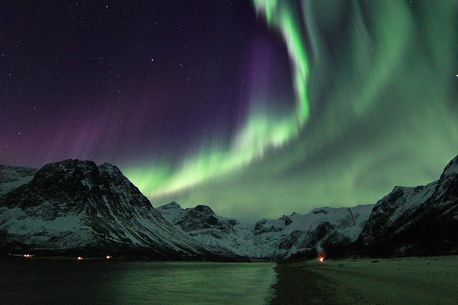 Small-Group Northern Lights Tour from Tromso with Photos - The tour style: a real aurora chase, not a sit-and-hope bus