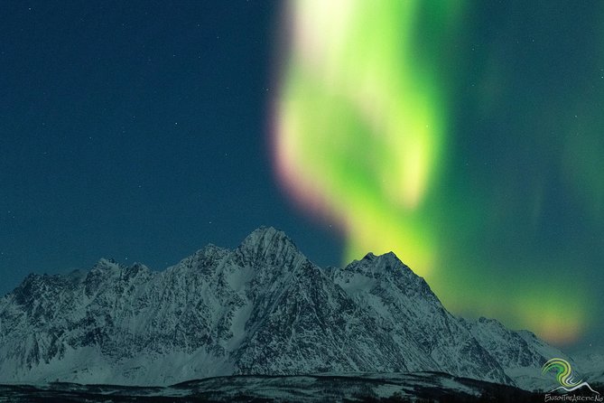 Small-Group Northern Lights Tour from Tromso with Photos - Price and what you’re really buying for $153.25