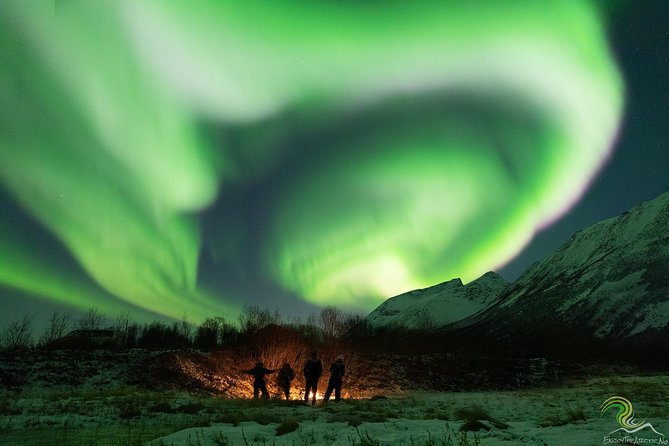 Small-Group Northern Lights Tour from Tromso with Photos - Photo help that goes beyond pointing and shooting