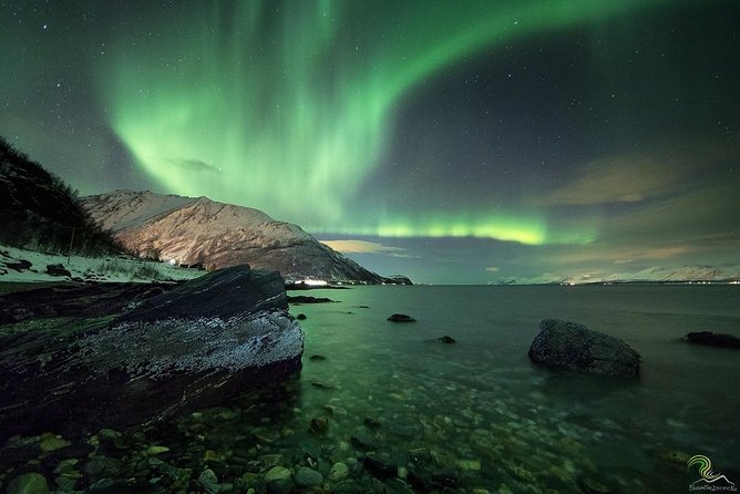 Small-Group Northern Lights Tour from Tromso with Photos - Professional photos online: how to get value and avoid disappointment