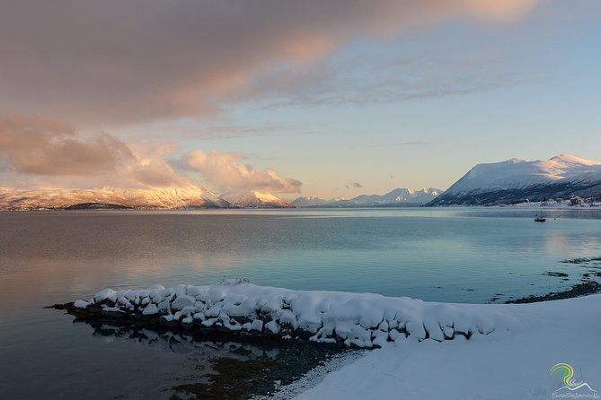 Small-Group Norwegian Fjords Tour from Tromso with Photos - Meeting at Magic Ice Bar: Easy Start, No Hotel Pickup