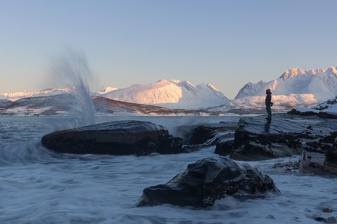 Small-Group Norwegian Fjords Tour from Tromso with Photos - Guides George, Anna, Andre, and Eric: What Their Style Adds