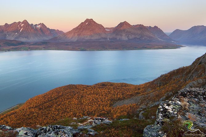 Small-Group Norwegian Fjords Tour from Tromso with Photos - Inside the 5 Hours: How the Photo Stops Actually Work