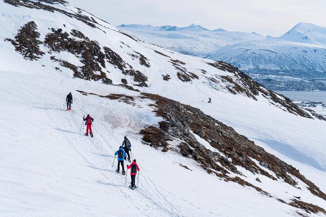 Small Group Snowshoe Hike in Tromso - Key highlights you’ll care about