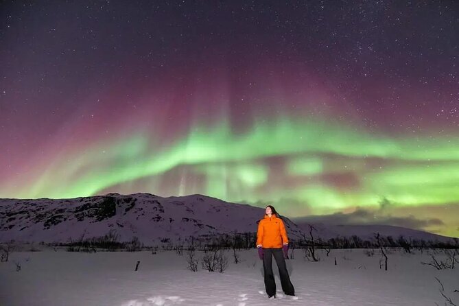 Small Group Tromsø: Northern Lights Chase with Photos and Dinner - Seeing the aurora in a smarter way: what the guide-photographer adds