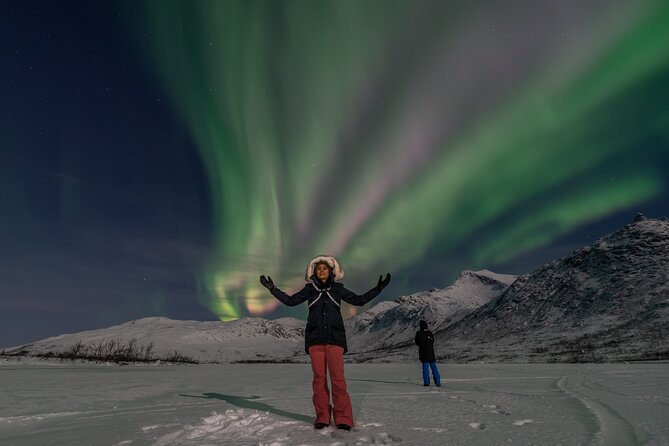Small Group Tromsø: Northern Lights Chase with Photos and Dinner - How a small-group tour stays organized when the weather changes