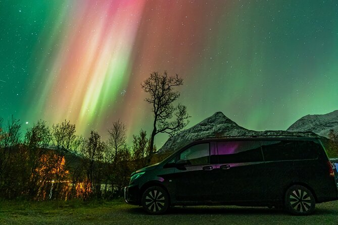 Small Group Van Journey in Search of the Northern Lights - Key things to know before you go