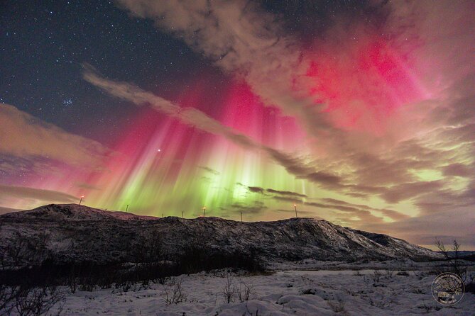 Small Group Van Journey in Search of the Northern Lights - Stop 1: Tromsø fjords, remote viewpoints, and campfire breaks