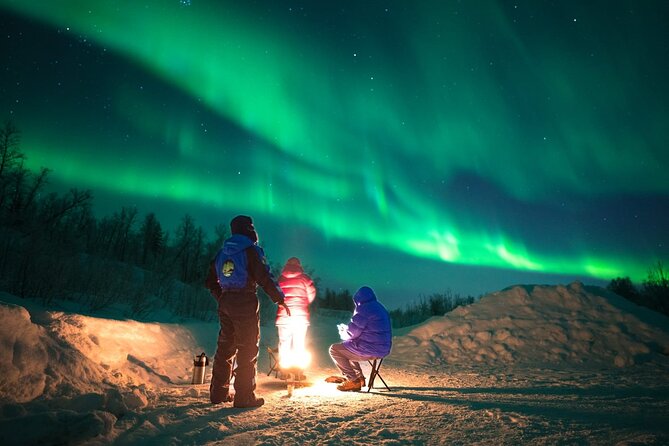 Small Northern Lights Tour Max 8 Guests Pickup and Photography - Why This Small Tromso Northern Lights Tour Feels Better Than the Crowds