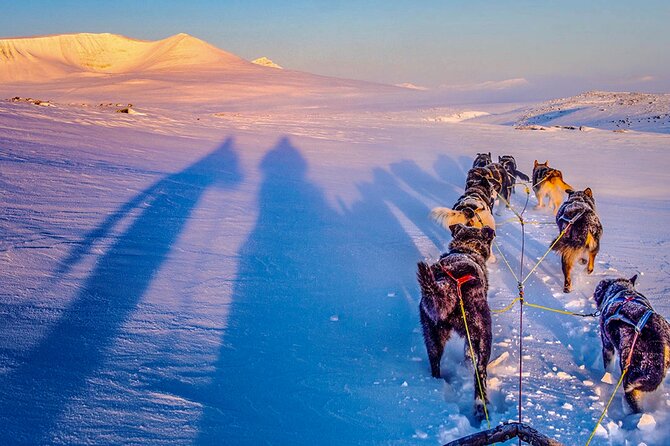 Small scale and Intimate Wilderness Dog Sledding 2h from Tromsø - From Tromsø to a Small Husky Farm