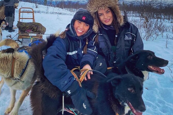 Small scale and Intimate Wilderness Dog Sledding 2h from Tromsø - Price and Value for a Tromsø Husky Sled Adventure