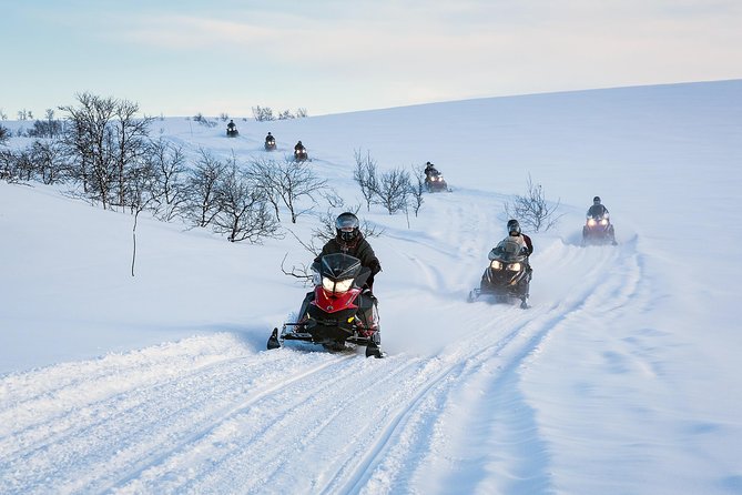 Snowmobile safari in the mountain plateau of Finnmarksvidda - Key points before you go