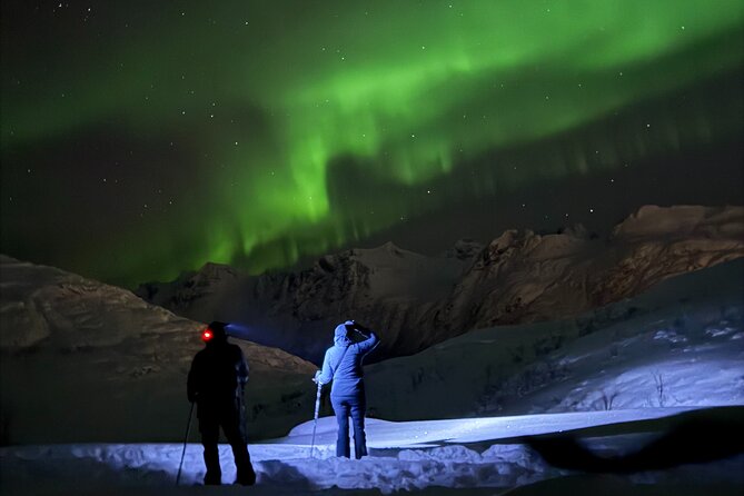 Snowshoe Expedition with Local Guides in Artic Terrain - Key highlights worth knowing