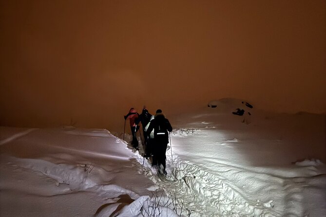 Snowshoe Expedition with Local Guides in Artic Terrain - Walking the route: from quiet forest to open mountain