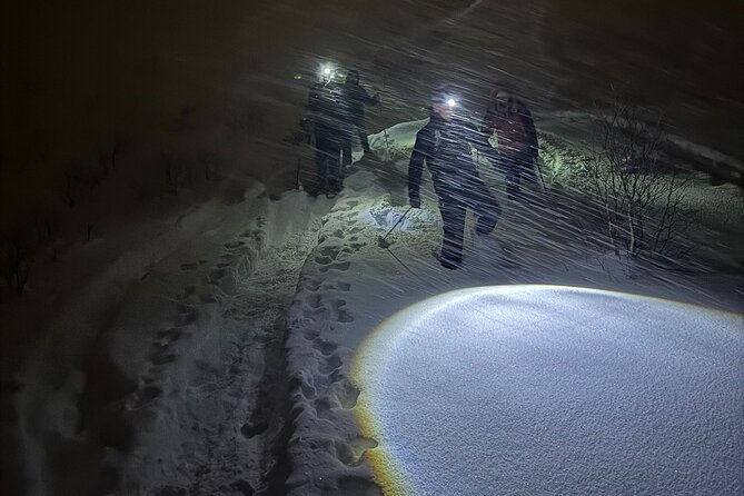 Snowshoe Expedition with Local Guides in Artic Terrain - Summit pause: hot drinks, snacks, and the aurora moment