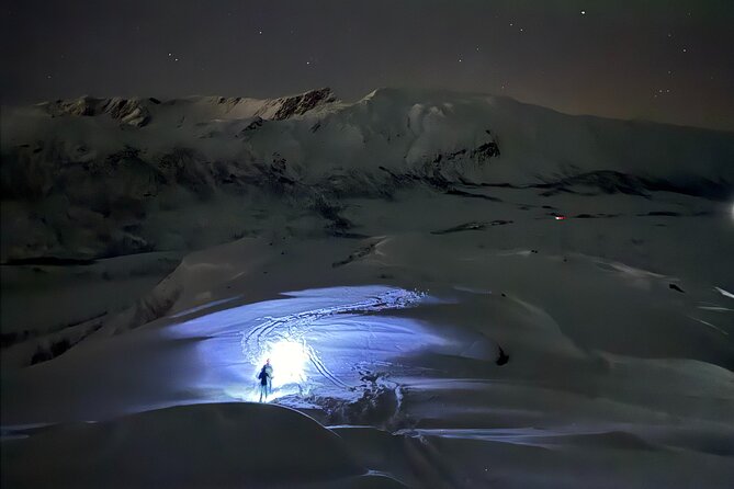 Snowshoe Expedition with Local Guides in Artic Terrain - Guides who make the night feel personal
