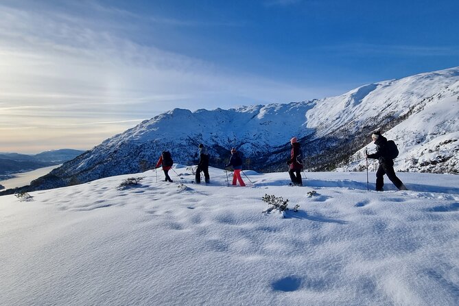 Snowshoe hiking in Bergen - Public tour - Key highlights I’d circle on your calendar
