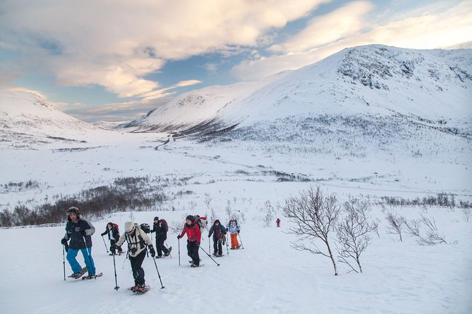 Snowshoe Hill Hike in Tromsø - Quick hits to know before you go